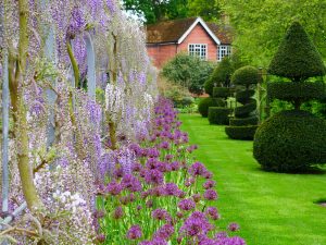 Květnové toulky anglickou zahradou Wisley